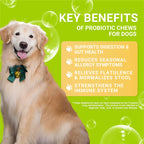 Probiotics for Dogs - Increasing Appetite, Improves Digestion, Supports Gut Health, Reduce Itchy Skin, Improves Stool Quality