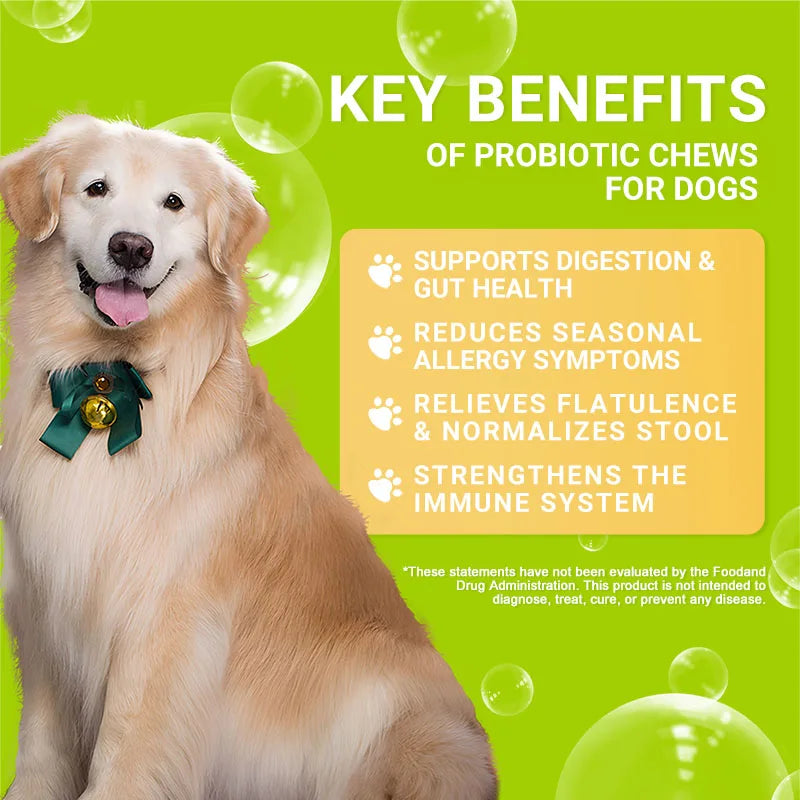 Probiotics for Dogs - Increasing Appetite, Improves Digestion, Supports Gut Health, Reduce Itchy Skin, Improves Stool Quality
