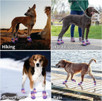 Dog Shoes for Dogs, Waterproof Medium Dog Booties for Winter Snowy Day, Summer Hot Pavement, Outdoor Walking, Indoor Hardfloors