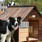 Pet Houses Products for Dogs Solic Wood Waterproof Windproof Sunshade Anti-corrosion Insect Proof Outdoor Warm Animal Dog House