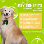Probiotics for Dogs - Increasing Appetite, Improves Digestion, Supports Gut Health, Reduce Itchy Skin, Improves Stool Quality