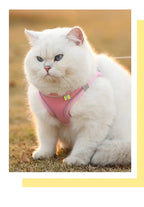Cats Dog Accessories Small Dog Collar Safety Vest Pet Chest Rope Dogs Cover Breathable Adjustable Harnesses Supplies Products